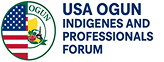 USA_Ogun_In_and_Pro_Logo 1 (1)